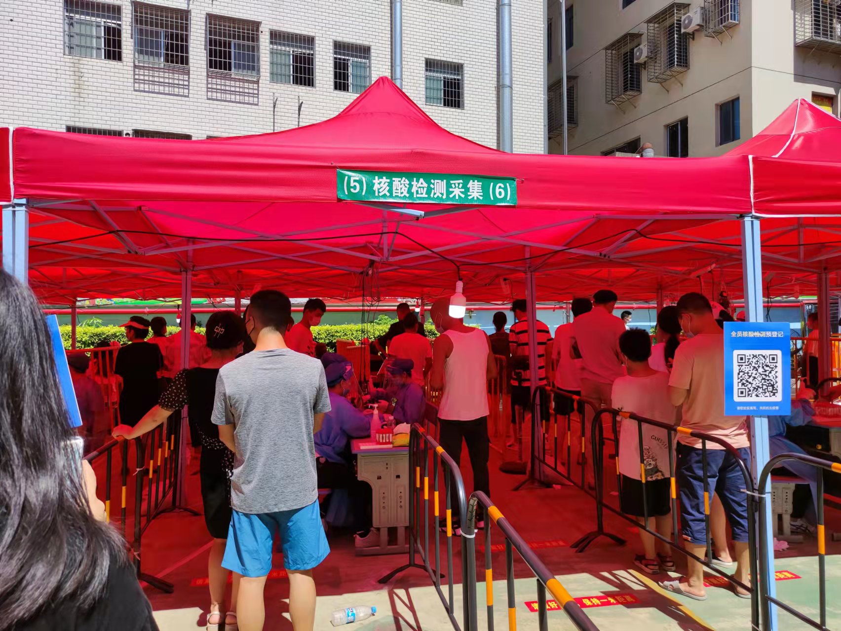 今天，你核酸了没？