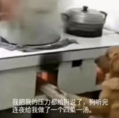 我太难了